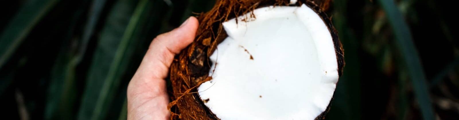 5 Best Coconut Oils For Hair Reviewed With The Latest Benefits 2020