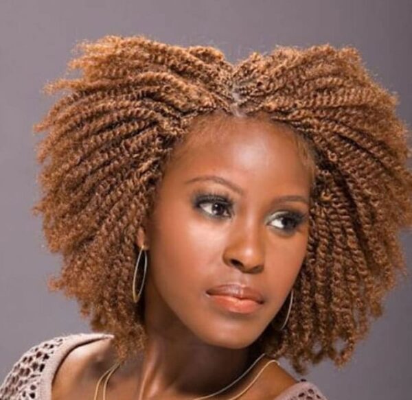 57 Twist Braids Styles and Types with How to Wear Them