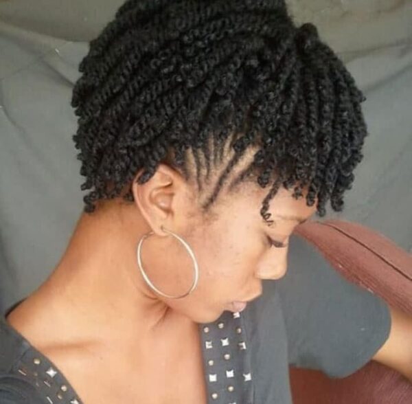 57 Twist Braids Styles and Types with How to Wear Them