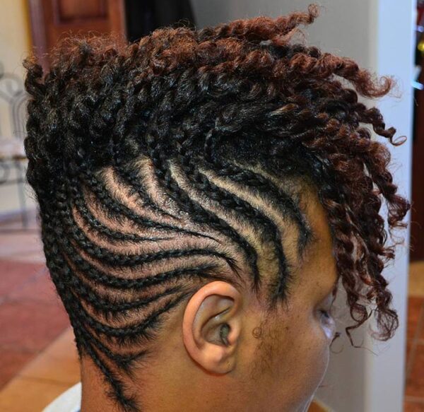 57 Twist Braids Styles and Types with How to Wear Them